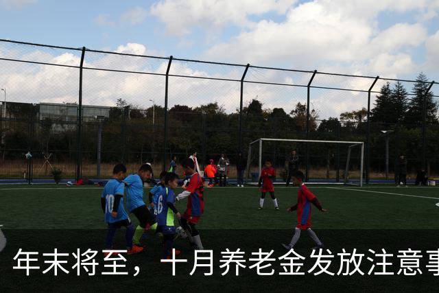 年末将至，十月养老金发放注意事项汇总